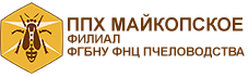 Апис Майкоп