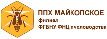 Апис Майкоп